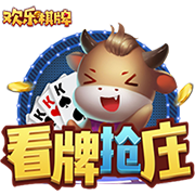 德罗巴的小跟班，在英超当超级替补，在欧冠决赛被抢点球主罚权